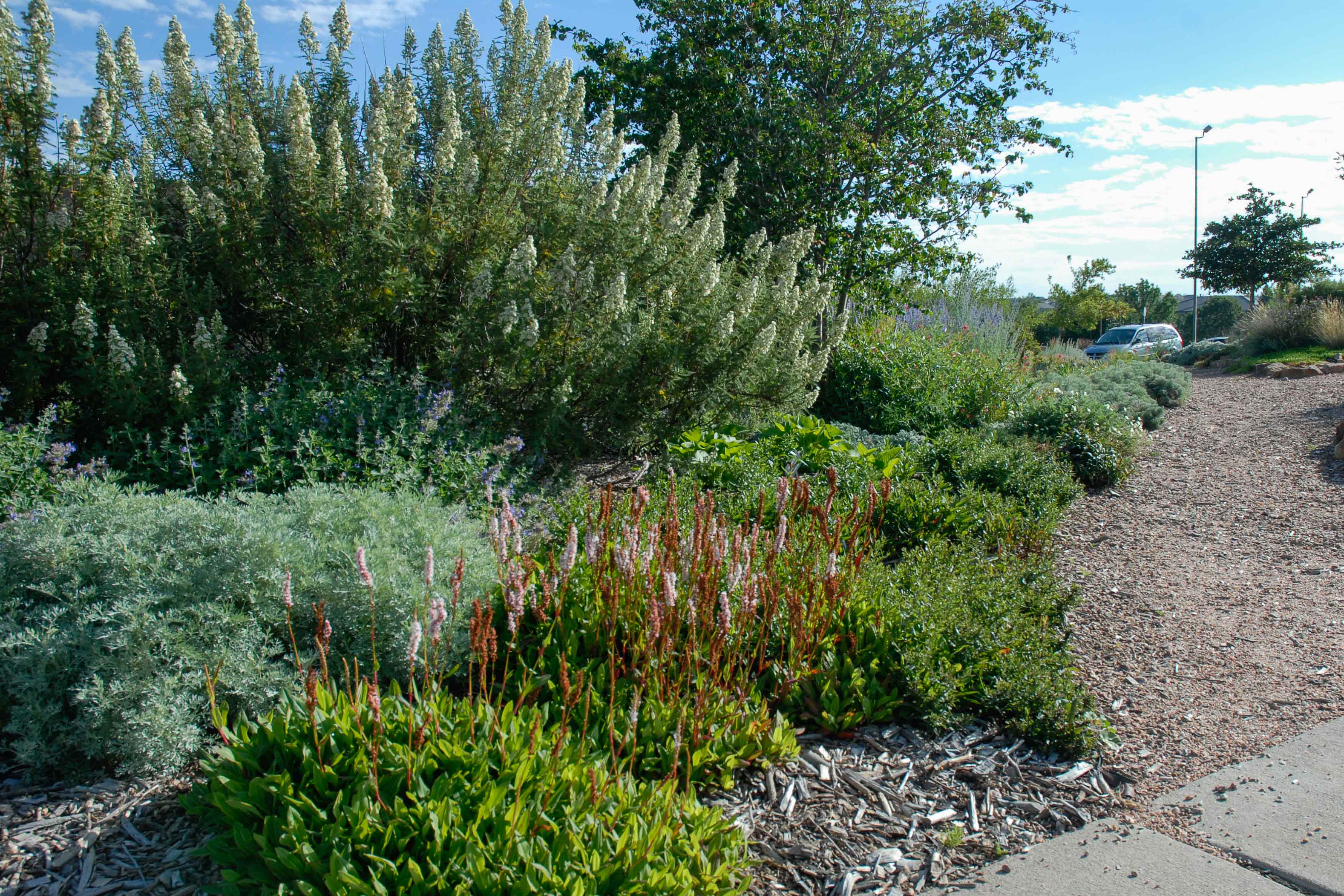 Cottonwood Creek Garden